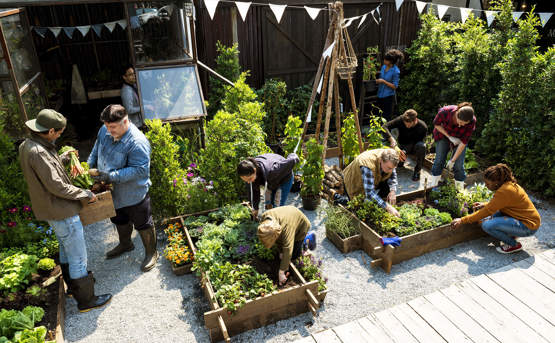 Group of people working on gardening beds 