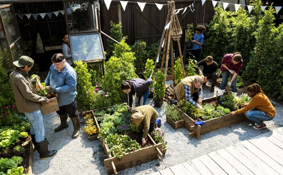 Group of people working on gardening beds 